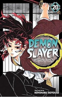 Demon Slayer: Kimetsu no Yaiba, Vol. 20